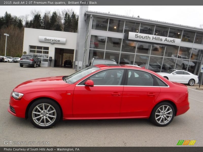 Brilliant Red / Black 2015 Audi A4 2.0T Premium Plus quattro