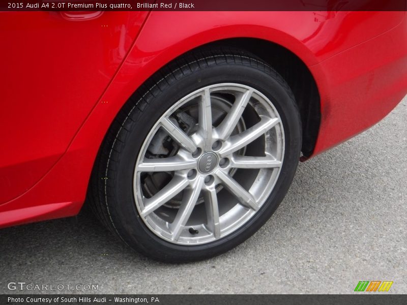 Brilliant Red / Black 2015 Audi A4 2.0T Premium Plus quattro