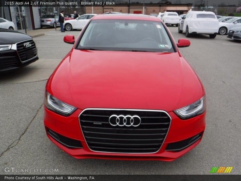 Brilliant Red / Black 2015 Audi A4 2.0T Premium Plus quattro