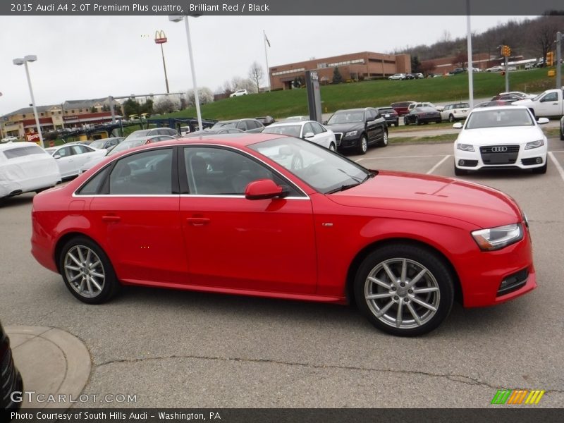  2015 A4 2.0T Premium Plus quattro Brilliant Red