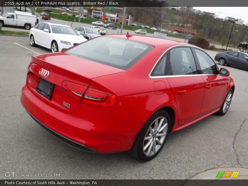 Brilliant Red / Black 2015 Audi A4 2.0T Premium Plus quattro