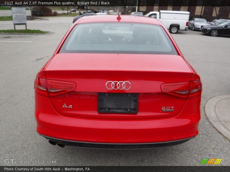 Brilliant Red / Black 2015 Audi A4 2.0T Premium Plus quattro