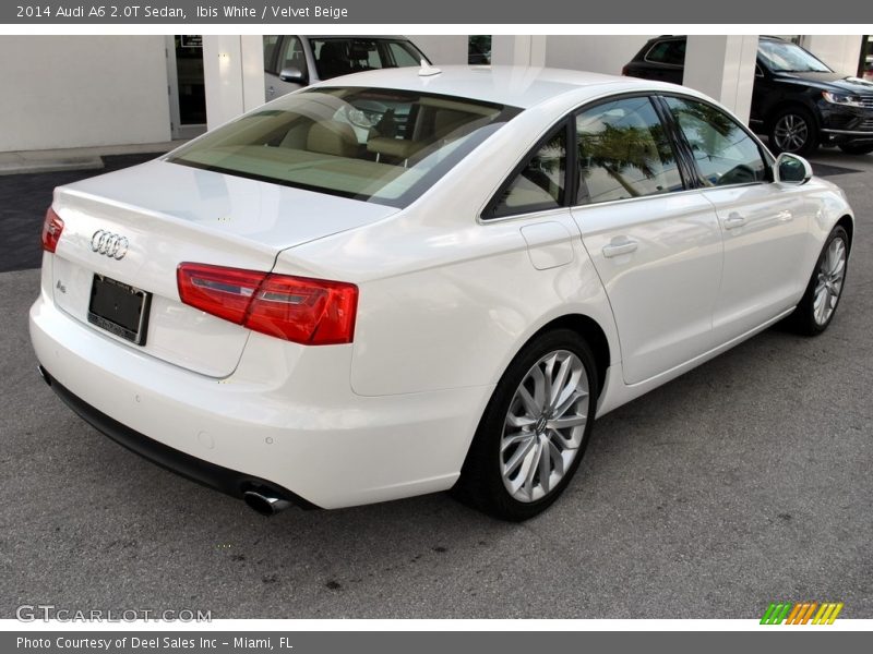 Ibis White / Velvet Beige 2014 Audi A6 2.0T Sedan