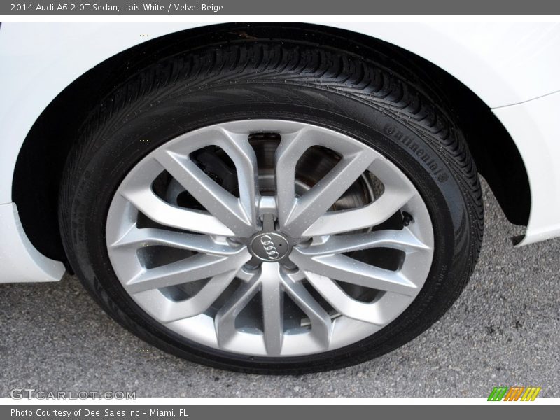Ibis White / Velvet Beige 2014 Audi A6 2.0T Sedan
