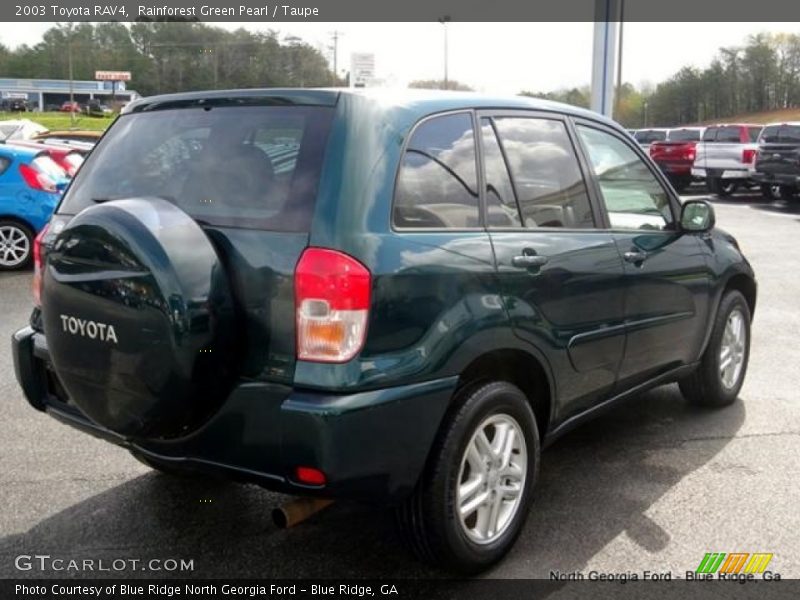 Rainforest Green Pearl / Taupe 2003 Toyota RAV4