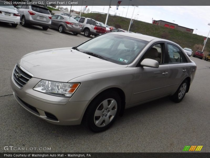 Camel Pearl / Camel 2009 Hyundai Sonata GLS