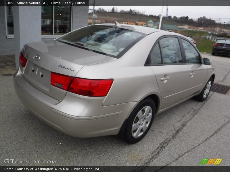 Camel Pearl / Camel 2009 Hyundai Sonata GLS