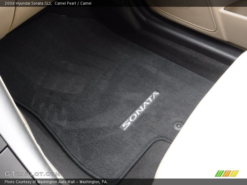 Camel Pearl / Camel 2009 Hyundai Sonata GLS