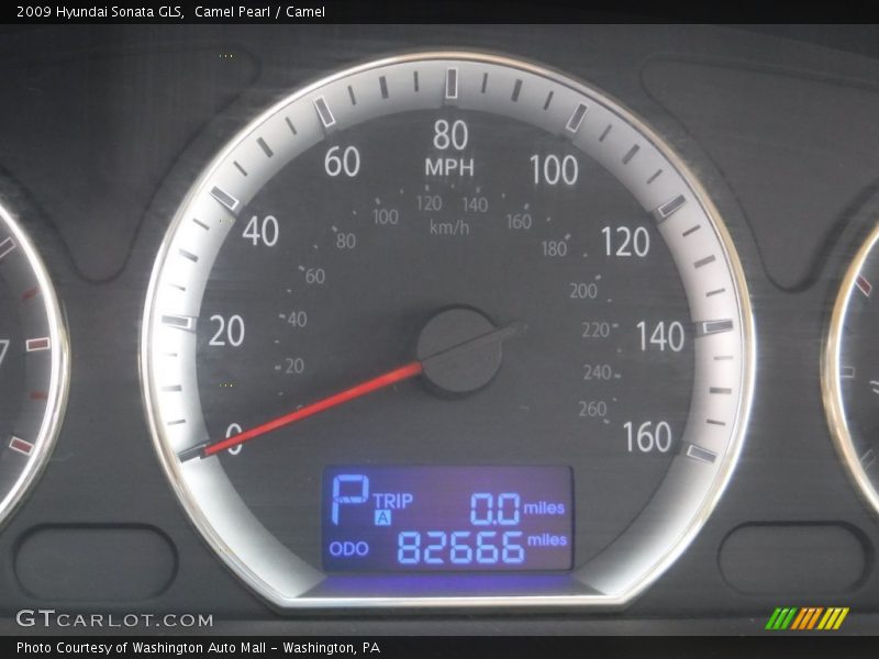 Camel Pearl / Camel 2009 Hyundai Sonata GLS