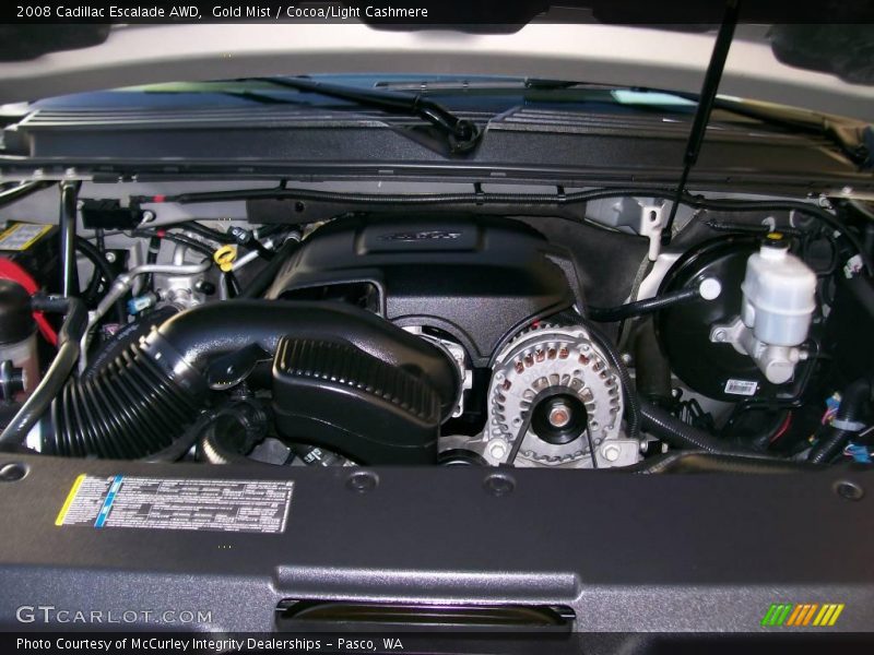 Gold Mist / Cocoa/Light Cashmere 2008 Cadillac Escalade AWD