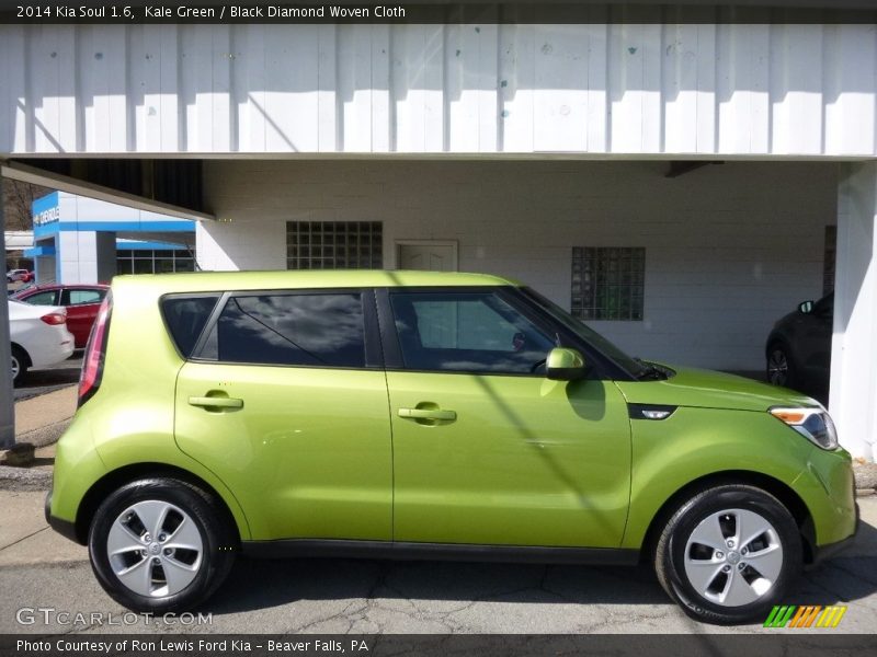 Kale Green / Black Diamond Woven Cloth 2014 Kia Soul 1.6