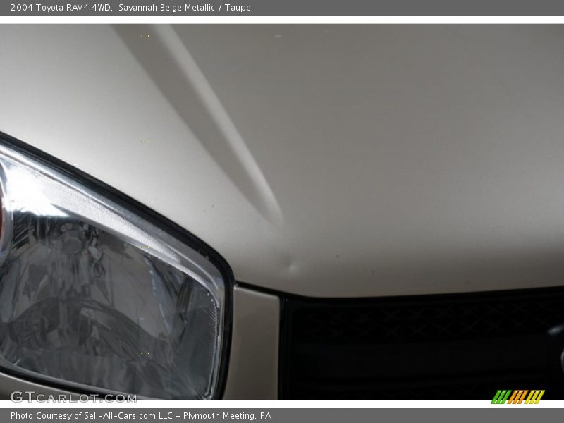Savannah Beige Metallic / Taupe 2004 Toyota RAV4 4WD