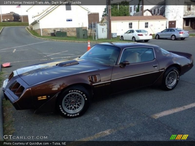  1979 Firebird Trans Am Dark Brown