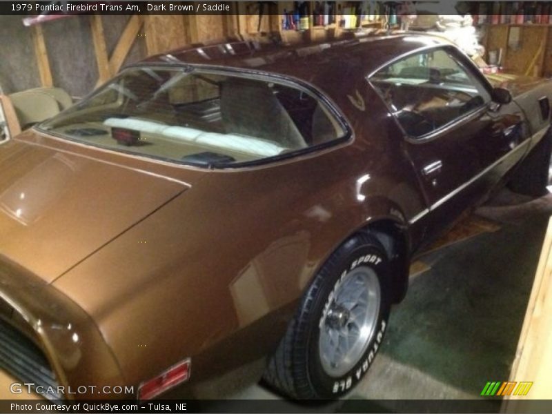 Dark Brown / Saddle 1979 Pontiac Firebird Trans Am