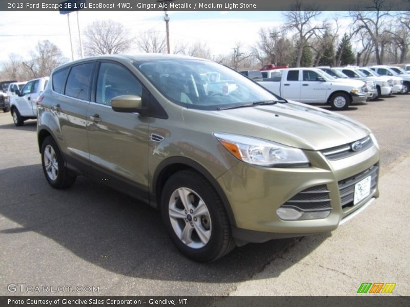 Ginger Ale Metallic / Medium Light Stone 2013 Ford Escape SE 1.6L EcoBoost 4WD