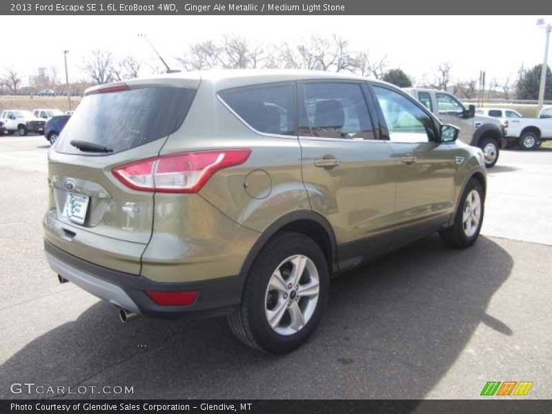 Ginger Ale Metallic / Medium Light Stone 2013 Ford Escape SE 1.6L EcoBoost 4WD