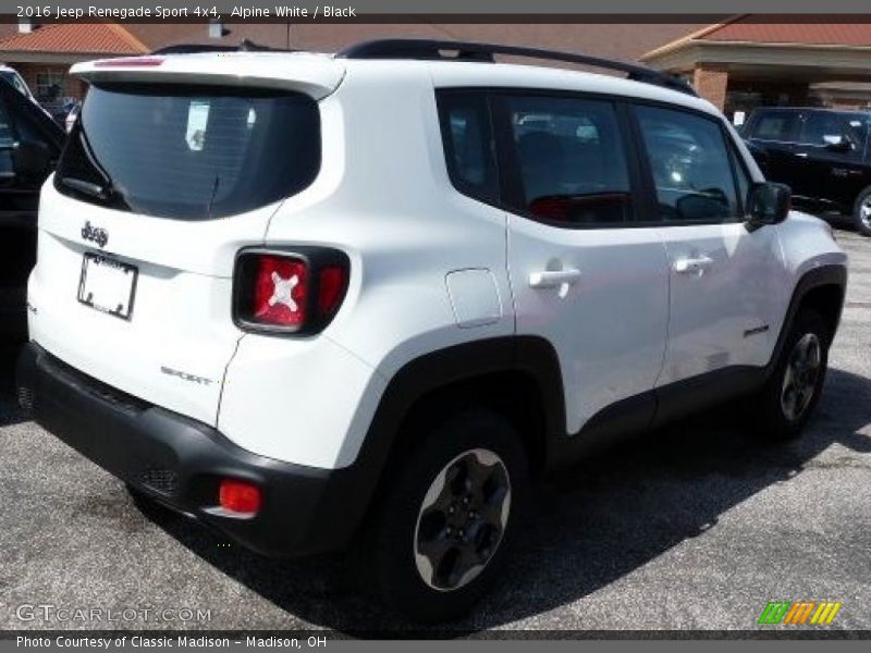 Alpine White / Black 2016 Jeep Renegade Sport 4x4