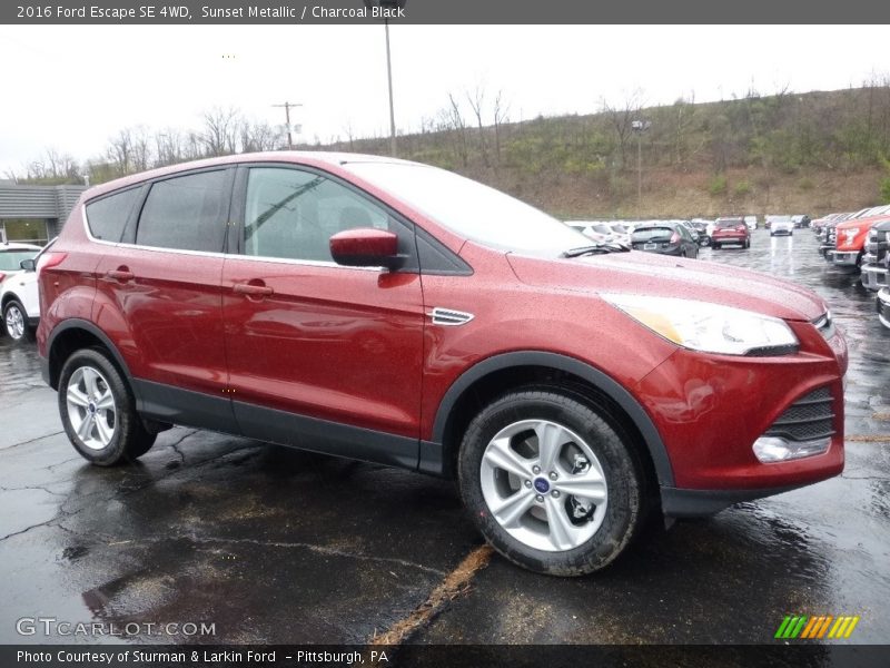 Sunset Metallic / Charcoal Black 2016 Ford Escape SE 4WD