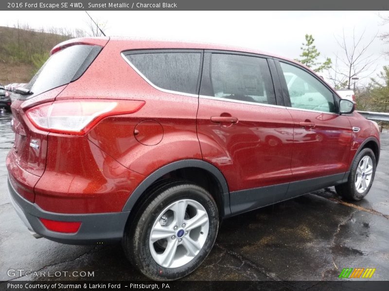 Sunset Metallic / Charcoal Black 2016 Ford Escape SE 4WD