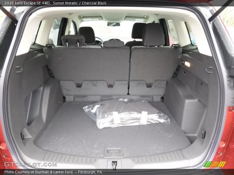 Sunset Metallic / Charcoal Black 2016 Ford Escape SE 4WD