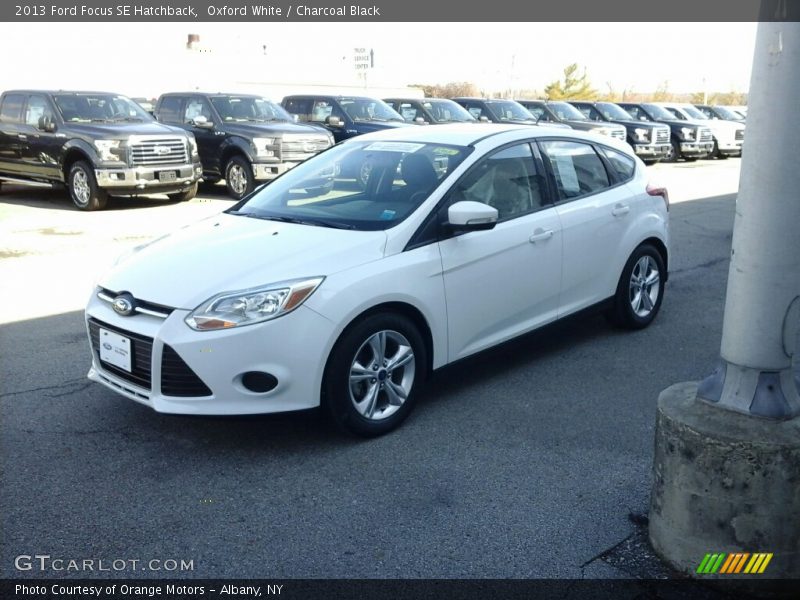 Oxford White / Charcoal Black 2013 Ford Focus SE Hatchback