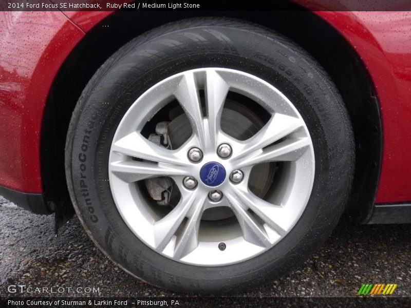 Ruby Red / Medium Light Stone 2014 Ford Focus SE Hatchback