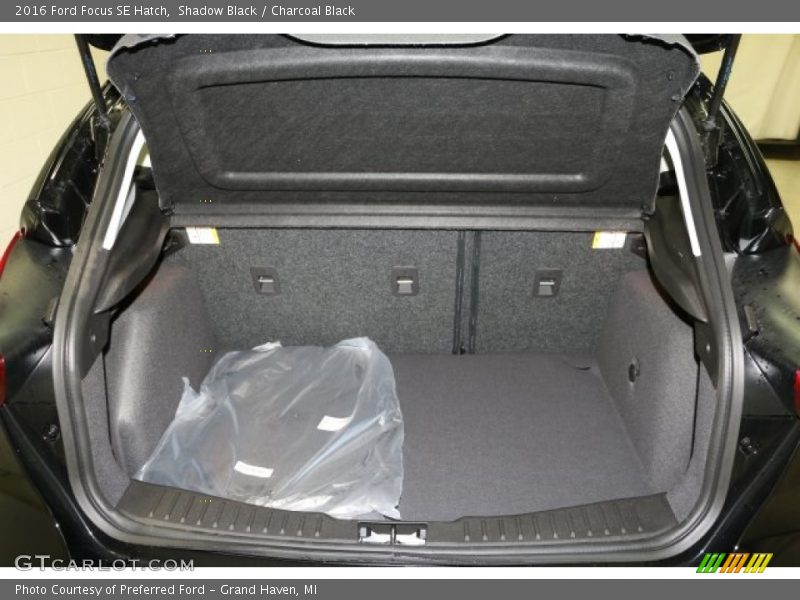 Shadow Black / Charcoal Black 2016 Ford Focus SE Hatch