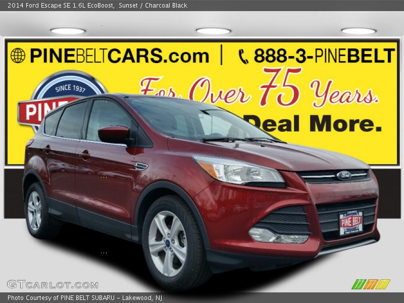 Sunset / Charcoal Black 2014 Ford Escape SE 1.6L EcoBoost