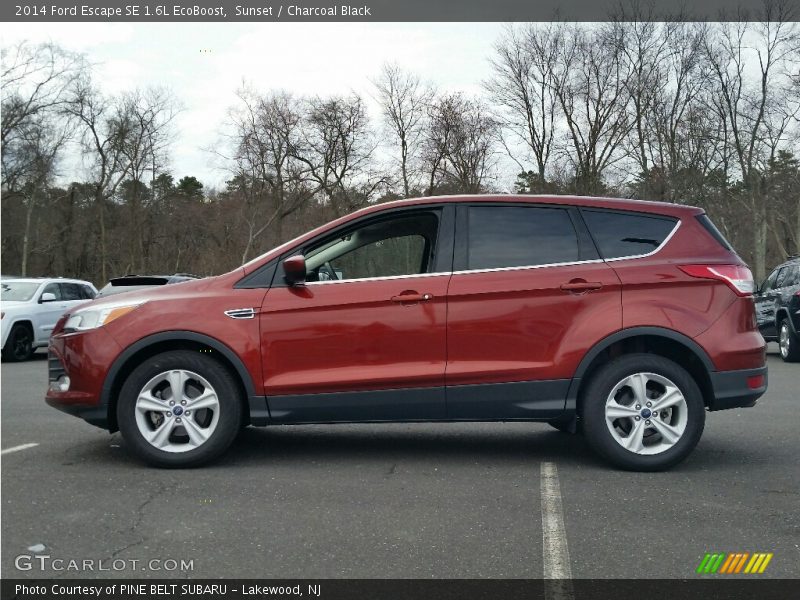 Sunset / Charcoal Black 2014 Ford Escape SE 1.6L EcoBoost