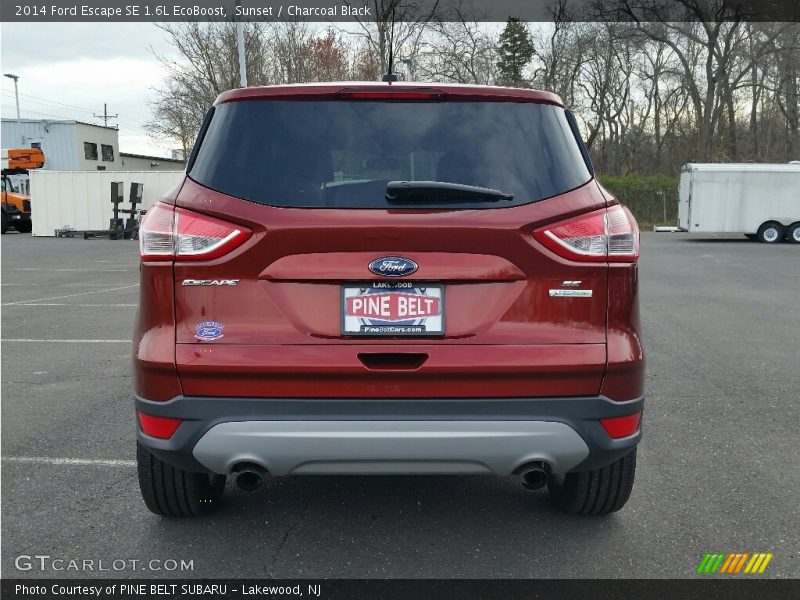 Sunset / Charcoal Black 2014 Ford Escape SE 1.6L EcoBoost