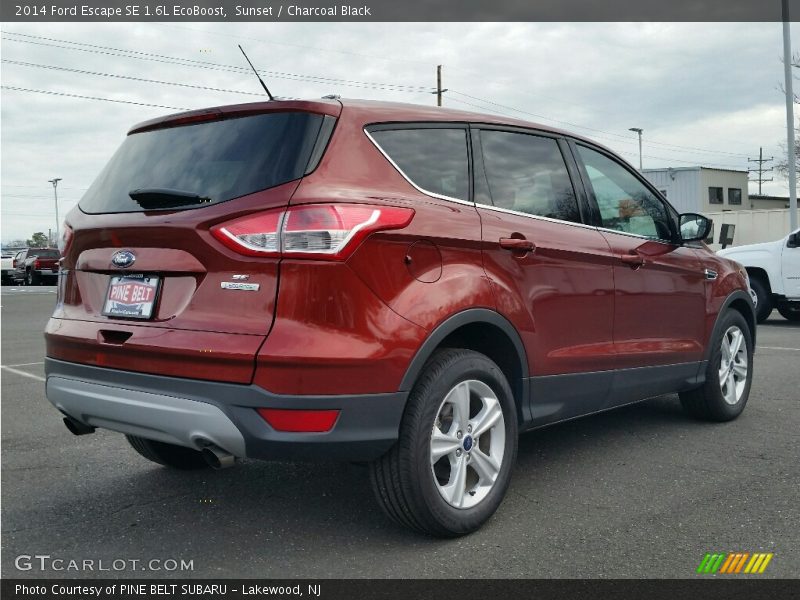 Sunset / Charcoal Black 2014 Ford Escape SE 1.6L EcoBoost