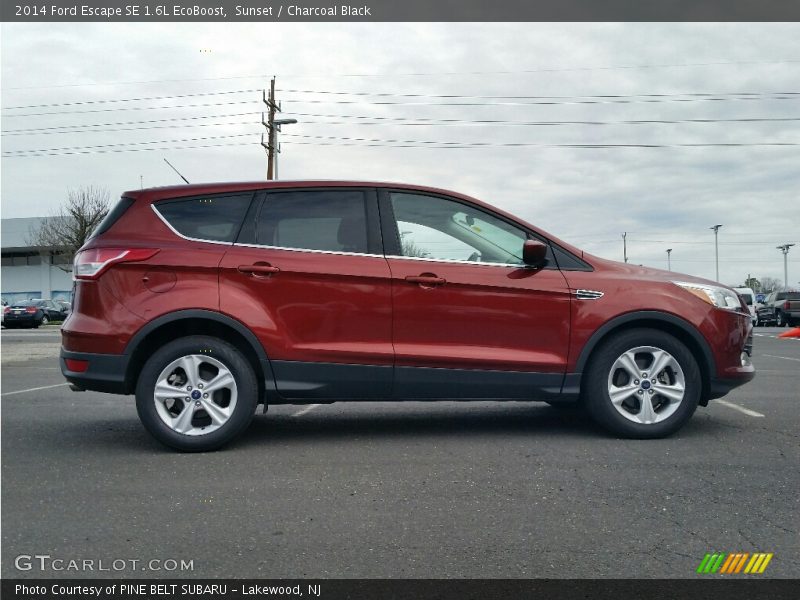 Sunset / Charcoal Black 2014 Ford Escape SE 1.6L EcoBoost