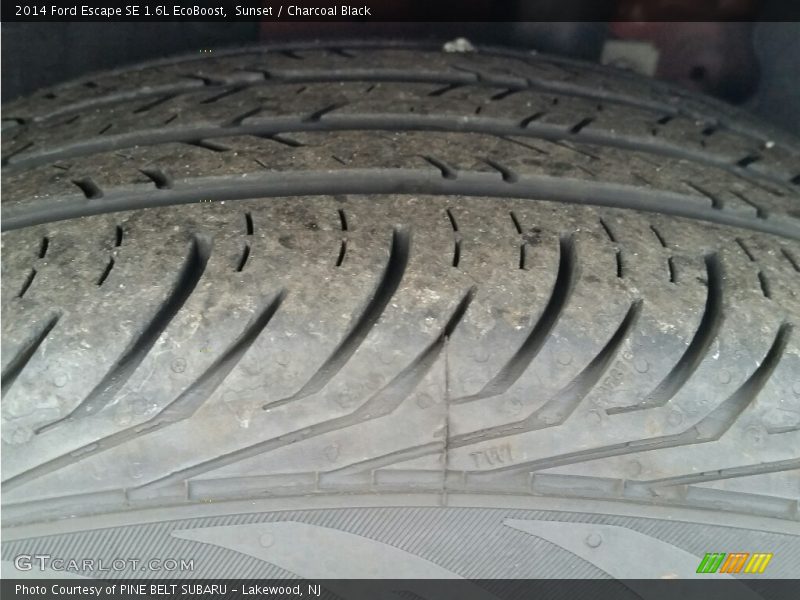 Sunset / Charcoal Black 2014 Ford Escape SE 1.6L EcoBoost