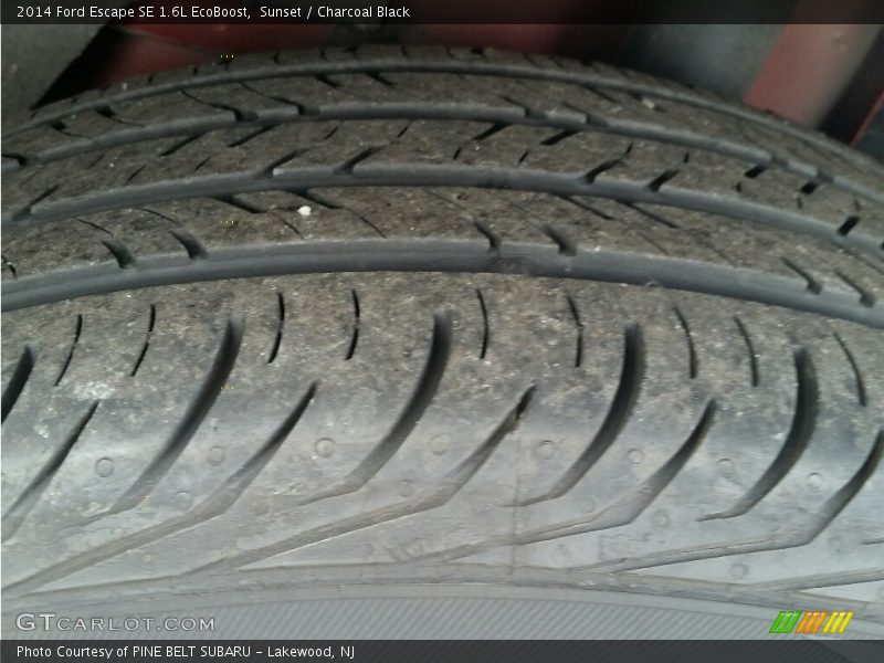 Sunset / Charcoal Black 2014 Ford Escape SE 1.6L EcoBoost