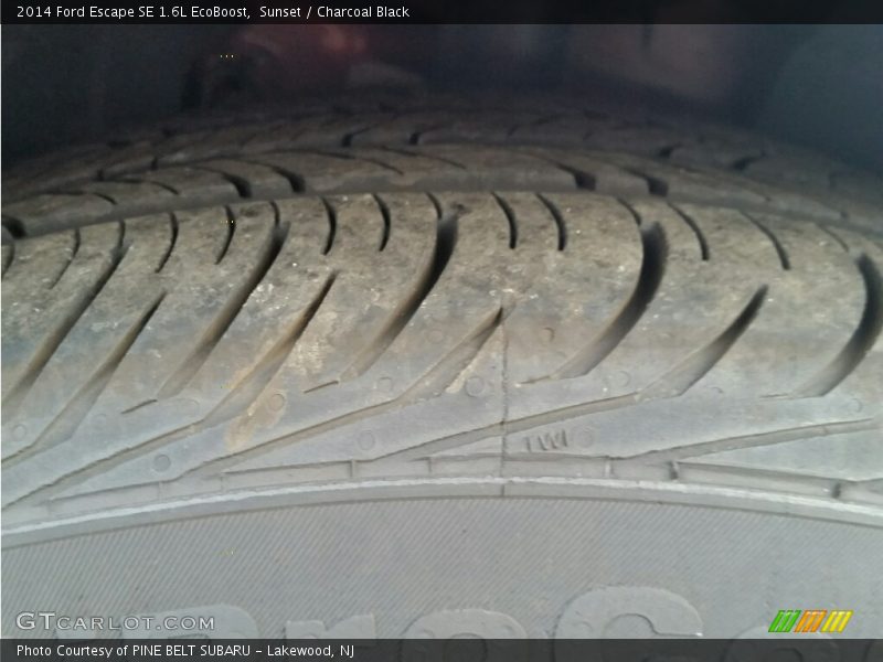 Sunset / Charcoal Black 2014 Ford Escape SE 1.6L EcoBoost
