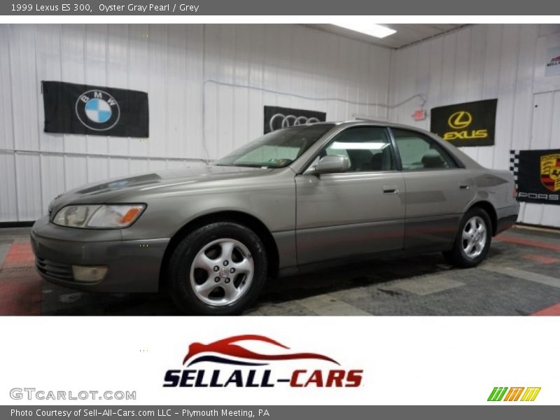 Oyster Gray Pearl / Grey 1999 Lexus ES 300