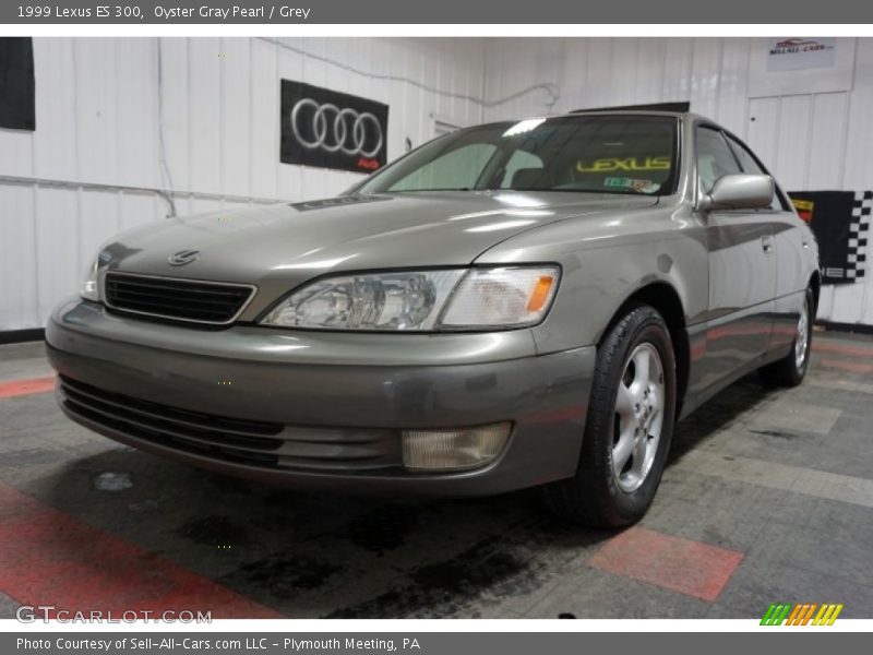 Oyster Gray Pearl / Grey 1999 Lexus ES 300