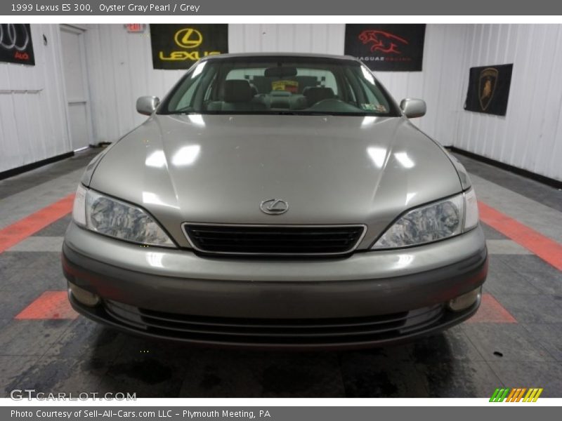 Oyster Gray Pearl / Grey 1999 Lexus ES 300