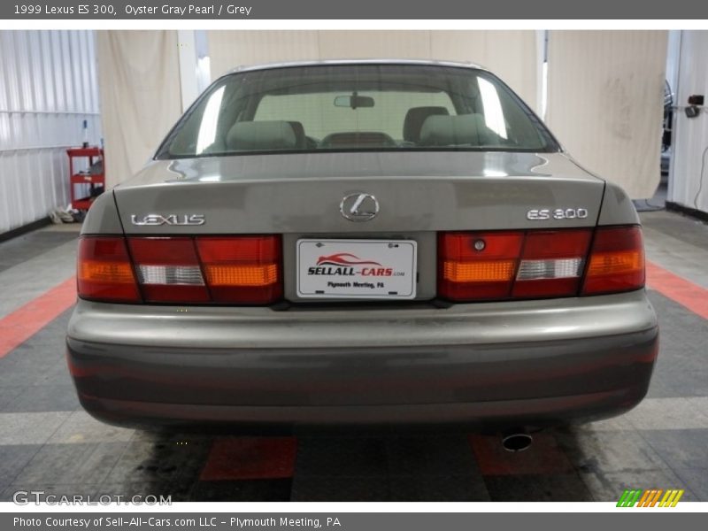 Oyster Gray Pearl / Grey 1999 Lexus ES 300