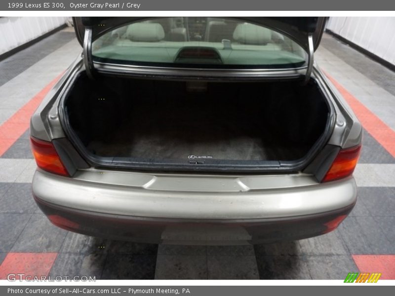 Oyster Gray Pearl / Grey 1999 Lexus ES 300