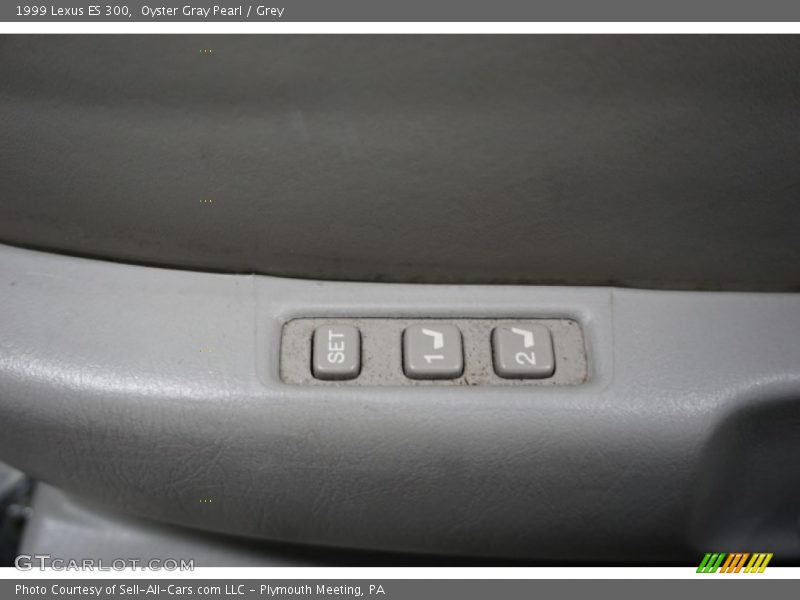 Oyster Gray Pearl / Grey 1999 Lexus ES 300