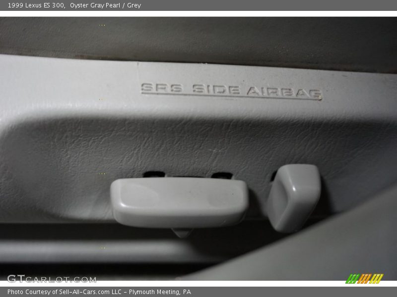 Oyster Gray Pearl / Grey 1999 Lexus ES 300