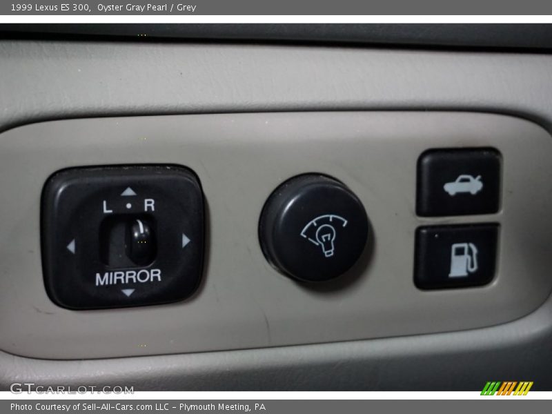 Oyster Gray Pearl / Grey 1999 Lexus ES 300
