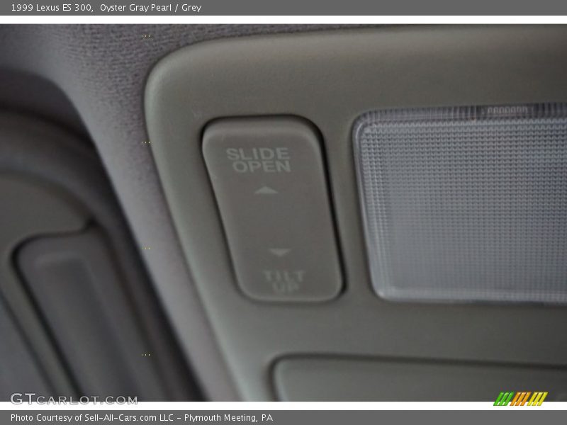 Oyster Gray Pearl / Grey 1999 Lexus ES 300