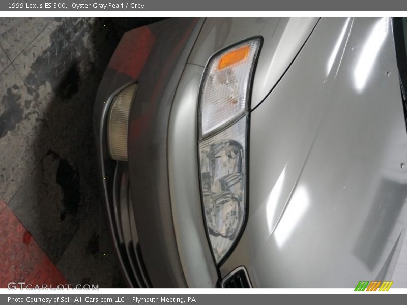 Oyster Gray Pearl / Grey 1999 Lexus ES 300