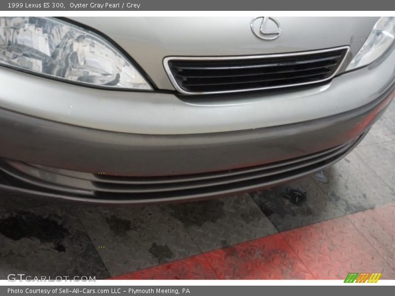 Oyster Gray Pearl / Grey 1999 Lexus ES 300