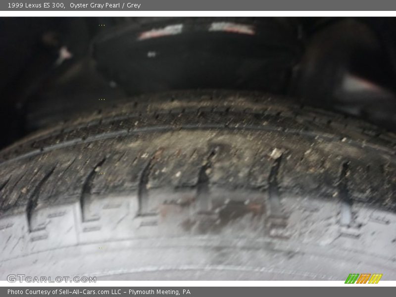 Oyster Gray Pearl / Grey 1999 Lexus ES 300