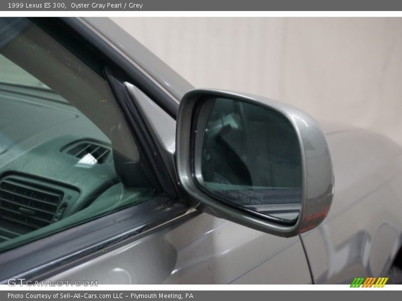 Oyster Gray Pearl / Grey 1999 Lexus ES 300