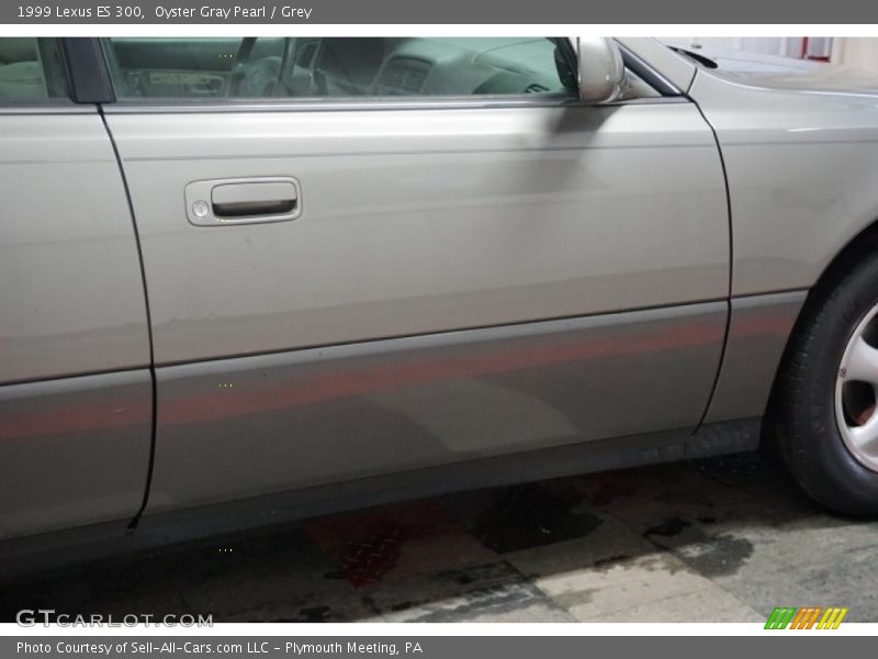 Oyster Gray Pearl / Grey 1999 Lexus ES 300