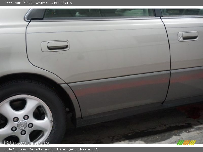 Oyster Gray Pearl / Grey 1999 Lexus ES 300